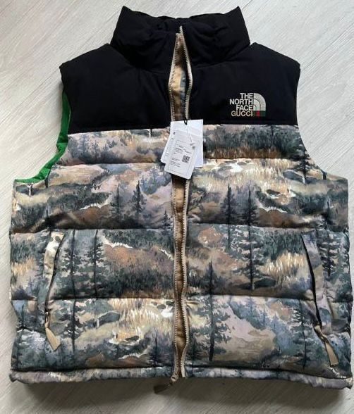 Жилетка The North Face Gucci - photo 1